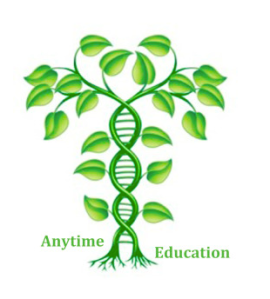 Anytime Education Logo